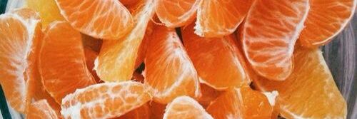 rosbellyta's profile banner image