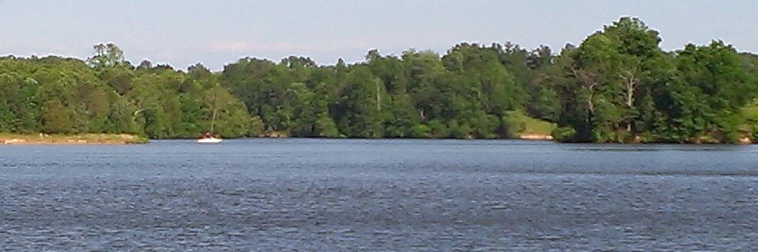 Cal Whitehead banner