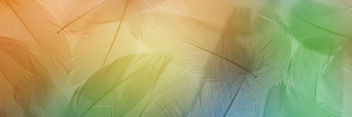 shushilee95's profile banner image