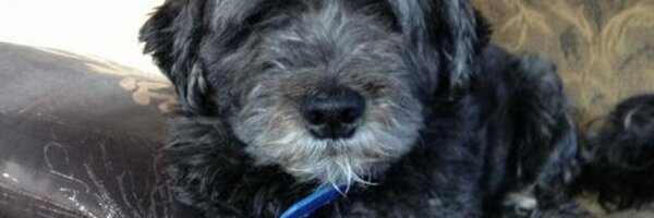 kaitlyness Profile Banner