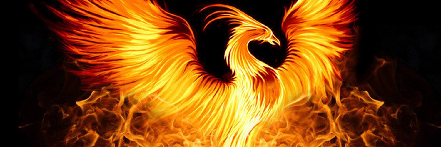 Puc01829930's profile banner image