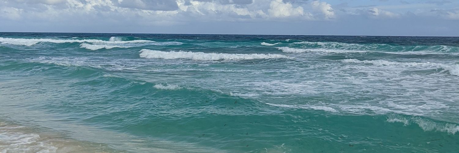 andreaparedees_'s profile banner image