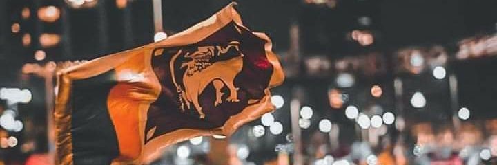 SDavisan's profile banner image