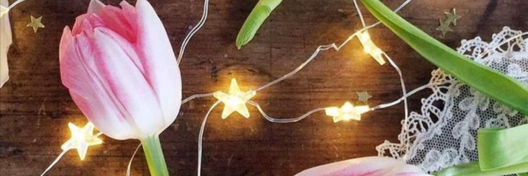 TuDimeIvs's profile banner image
