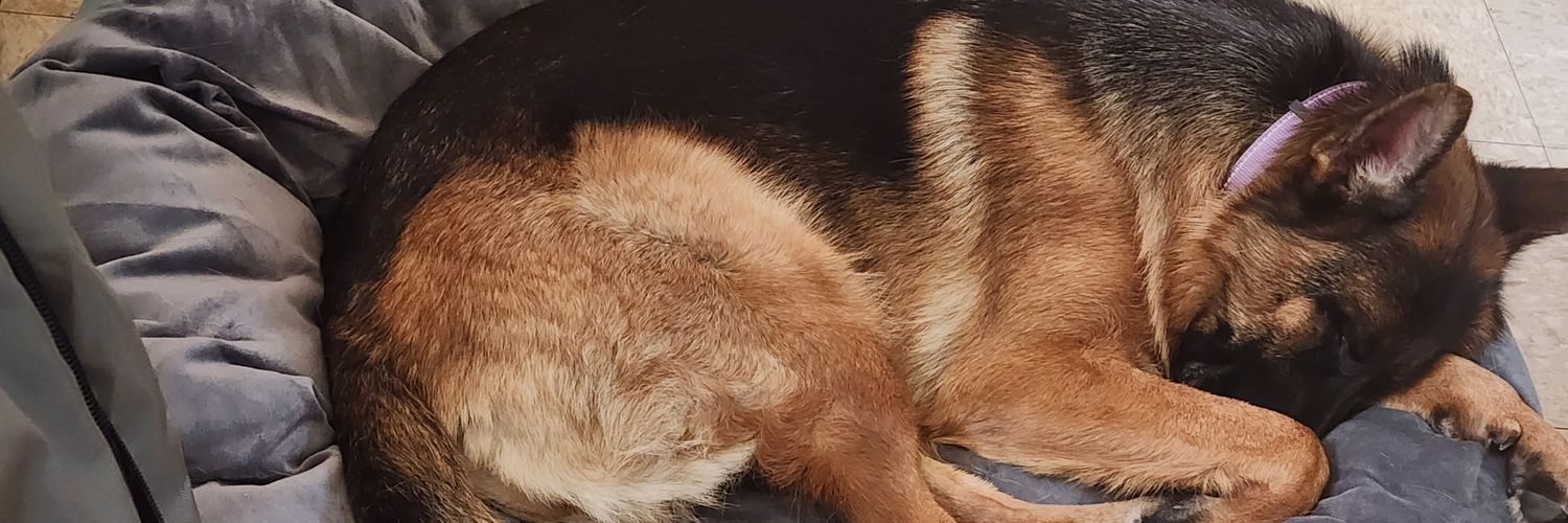 JohnnyRamLives's profile banner image