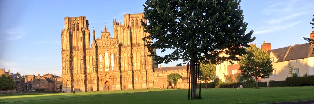 Margot (sisfur of Jakedoganality) b.26/01/2022 banner