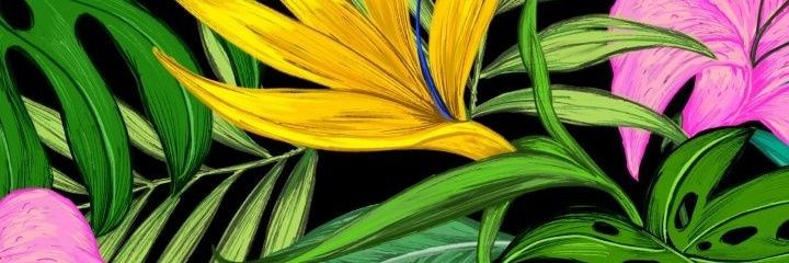 abyescobar4's profile banner image
