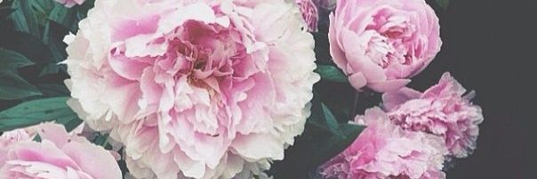 Jul4atai1's profile banner image