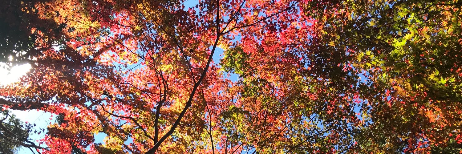 岩瀬　哲 (Akira Iwase) banner