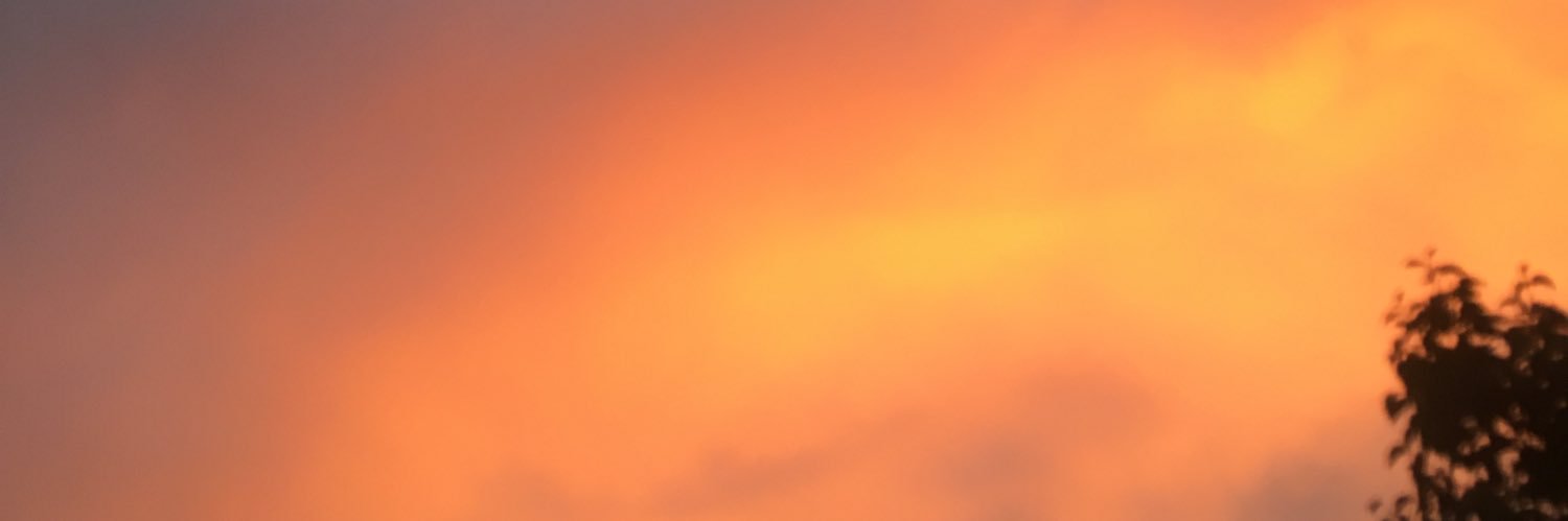 EleDistinto's profile banner image