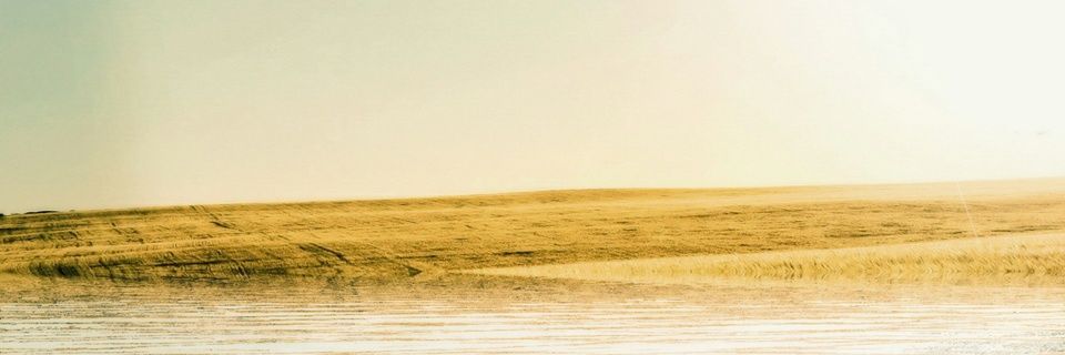 some_naive's profile banner image