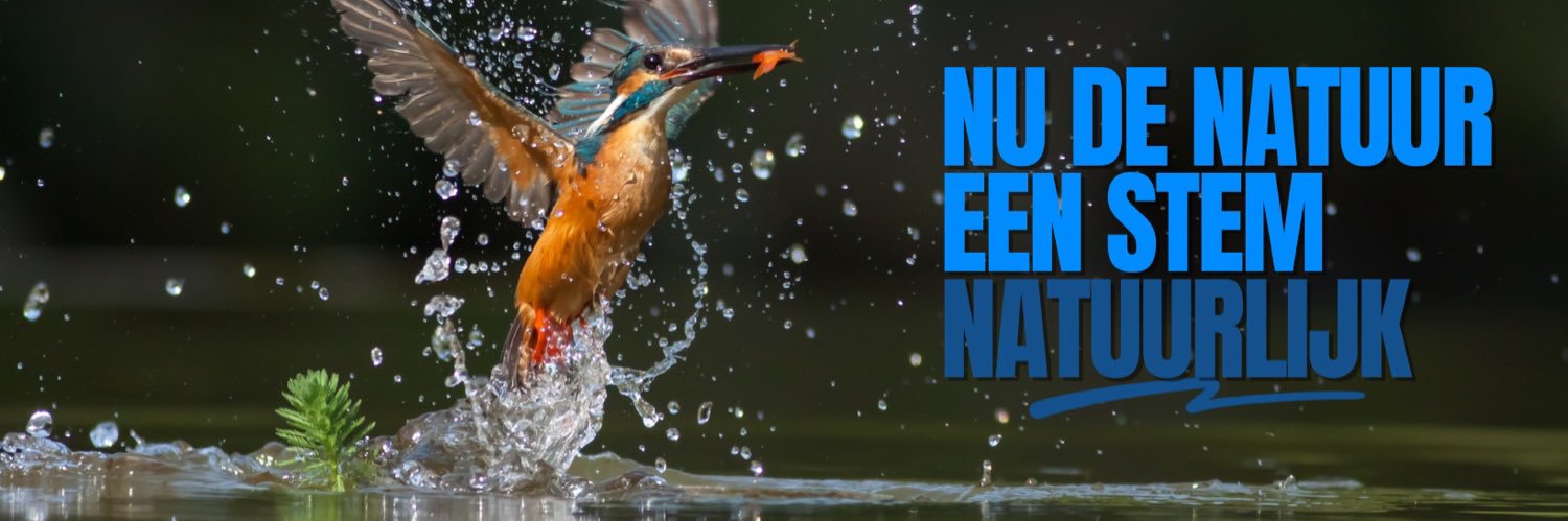 Bea van 't Hul ❤️💚 banner