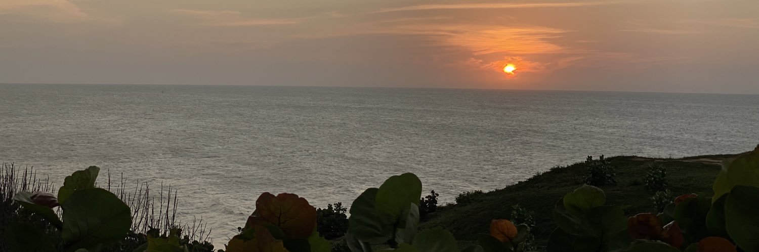 CATA_MARTELO's profile banner image