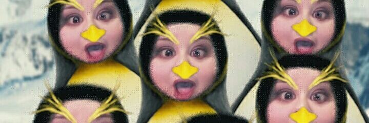 Winter Bercier banner