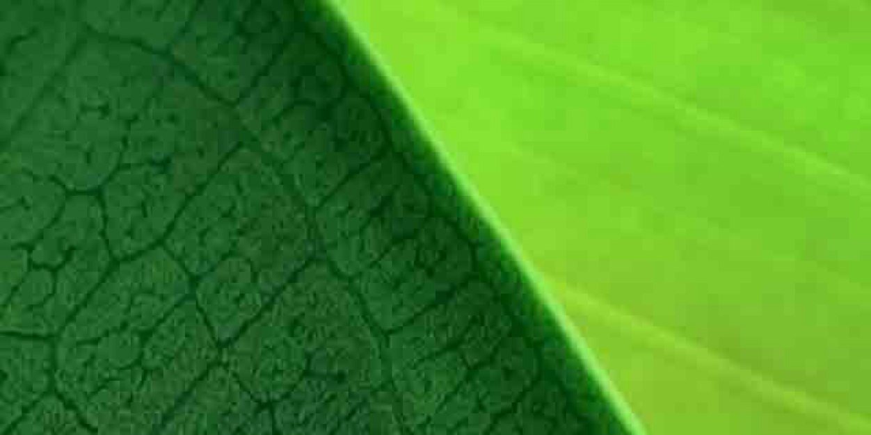 milamilski's profile banner image