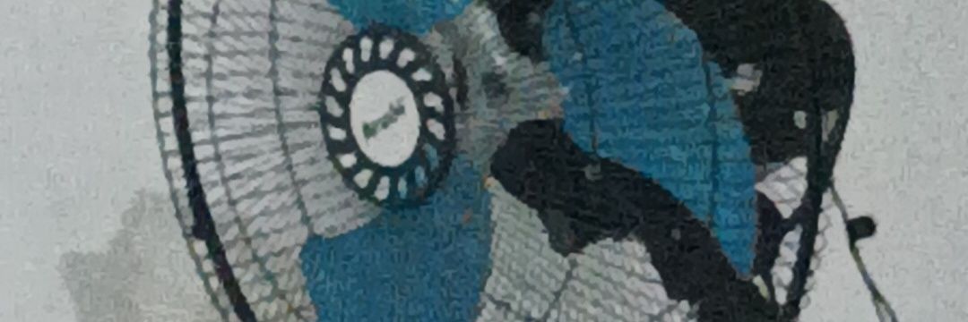 Mr BEE banner