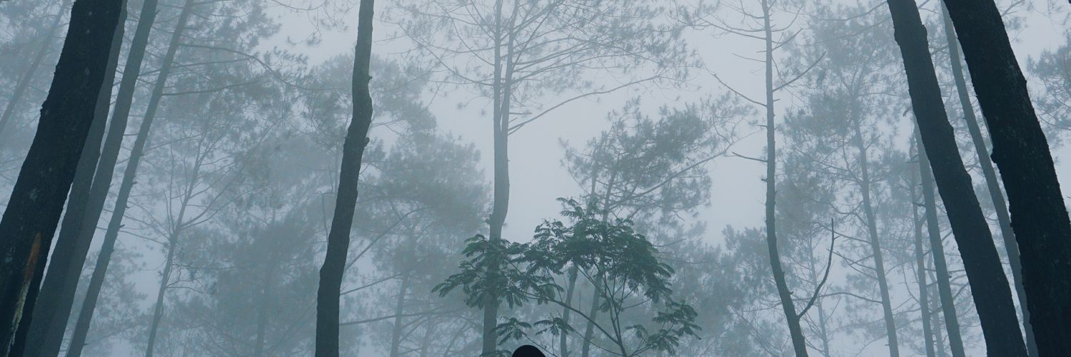 DimasAramadhan's profile banner image