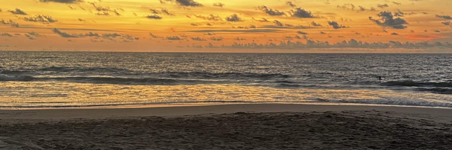 rosafernanda98's profile banner image