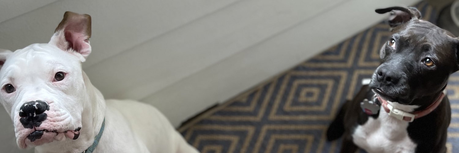 itisjusttanner's profile banner image