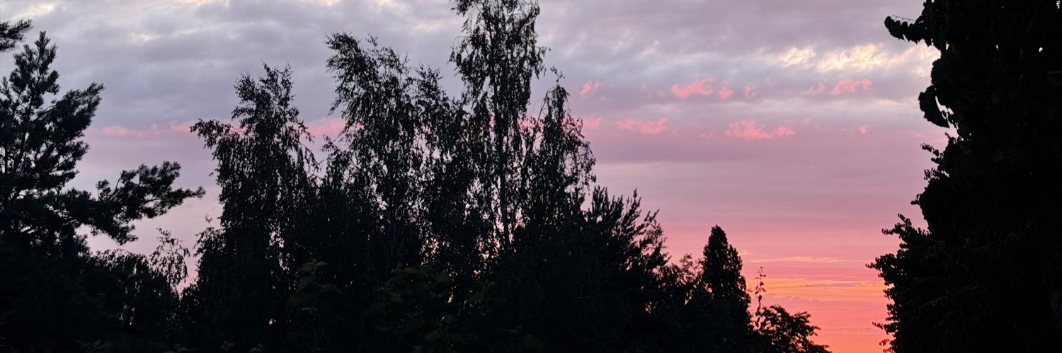 vintetroi's profile banner image