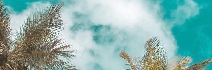 deviv_yofrancis's profile banner image