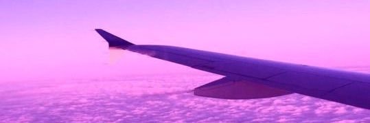 Caribbean_Chiq's profile banner image