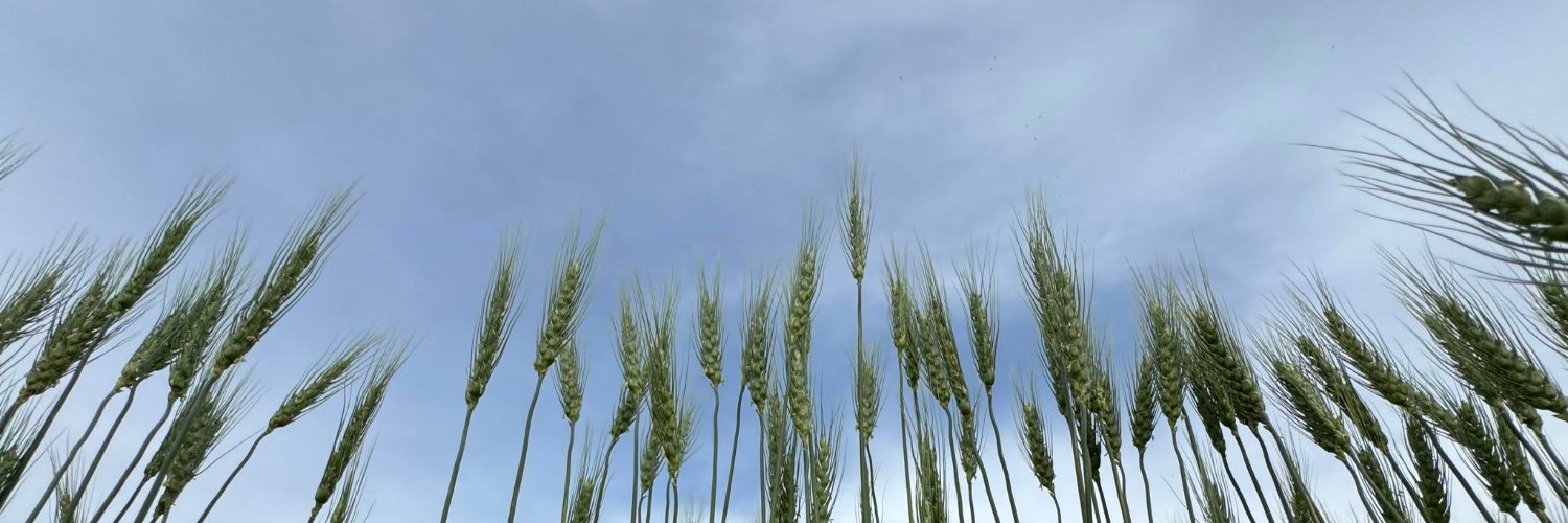 ldemoissac's profile banner image