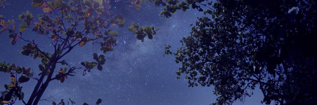 ONO_attack's profile banner image