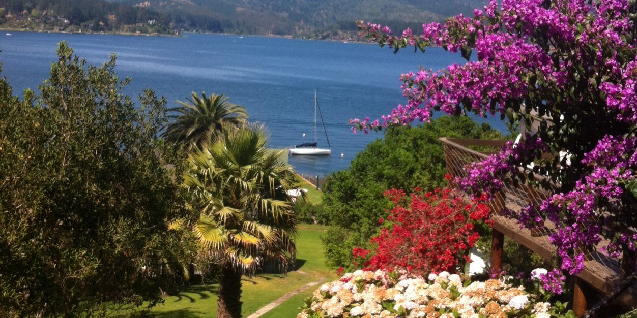 trinipozom's profile banner image