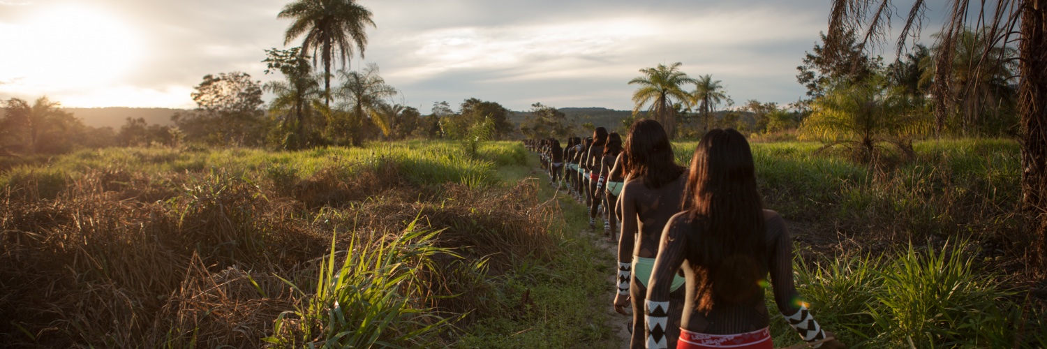 Associação Floresta Protegida banner