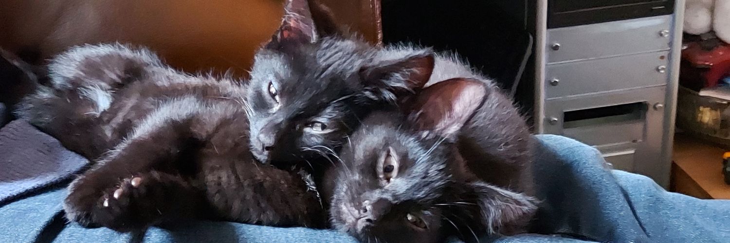 ScalEBrat's profile banner image