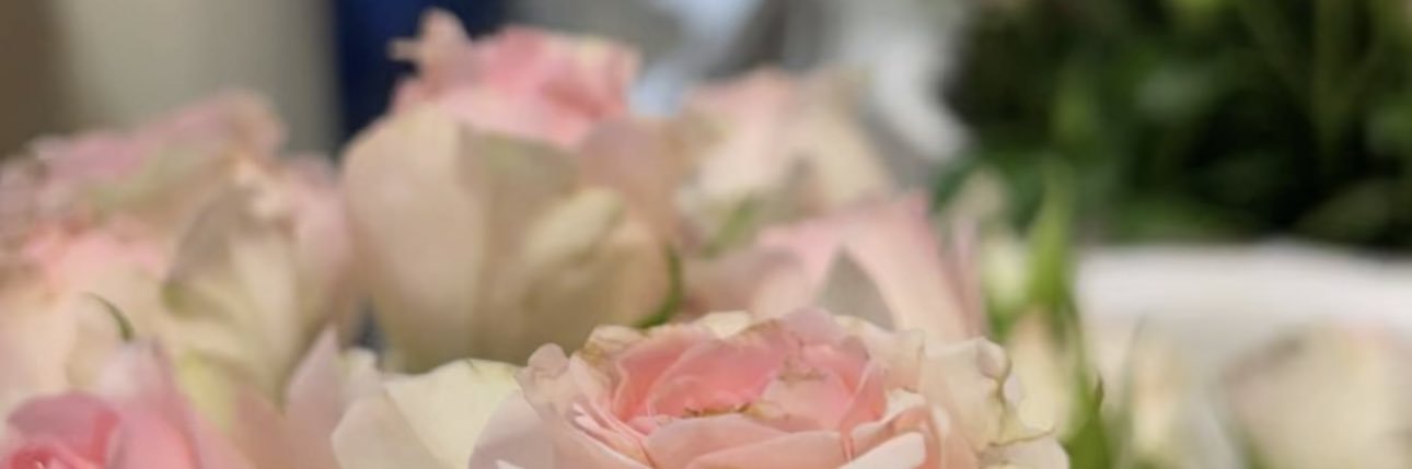 Alanoodi502's profile banner image