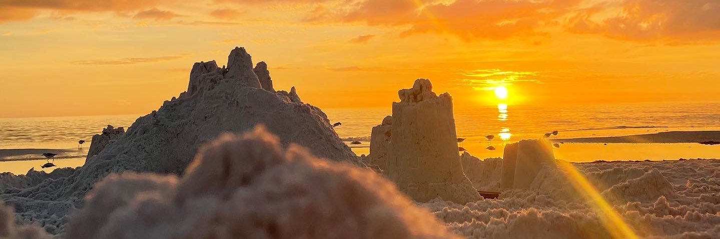 TaylorSagan's profile banner image