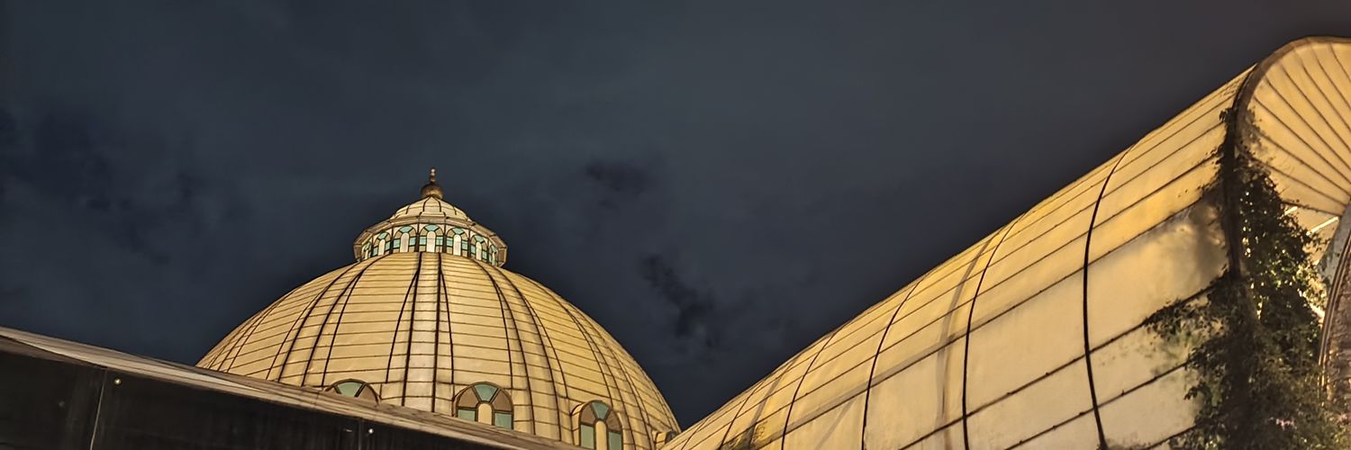 miraaaqty's profile banner image