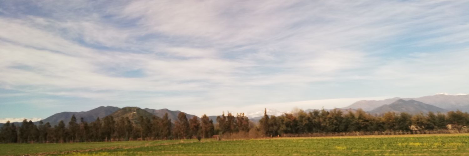 ddelcamp85's profile banner image