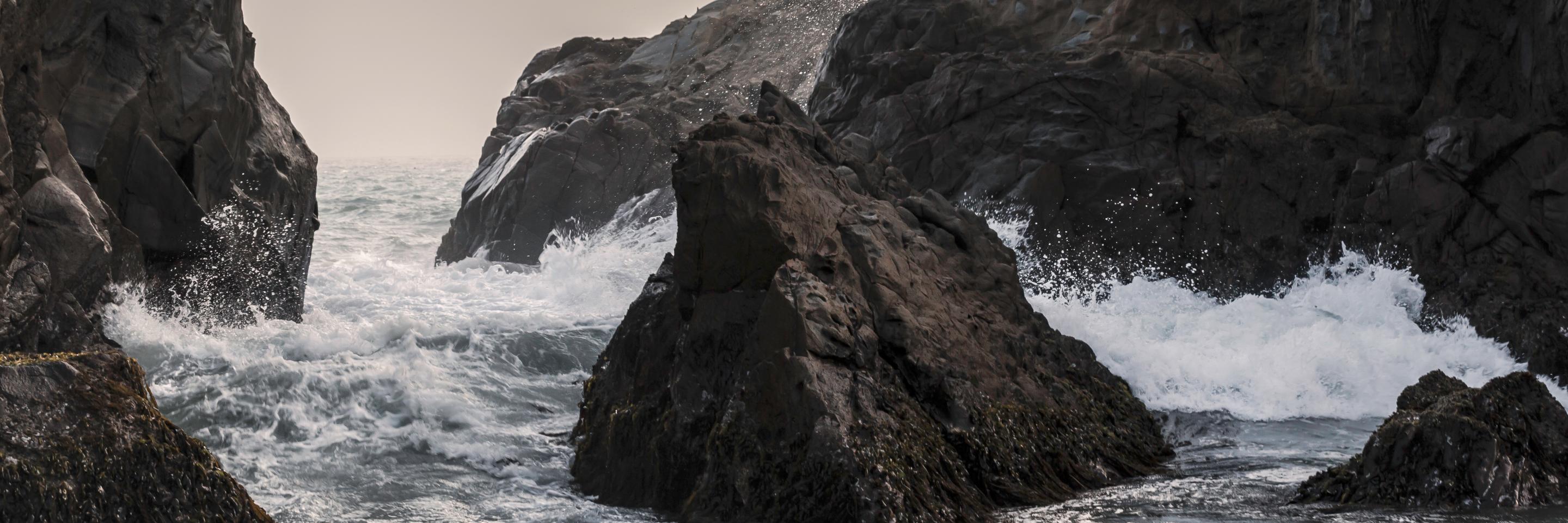 wfstr's profile banner image