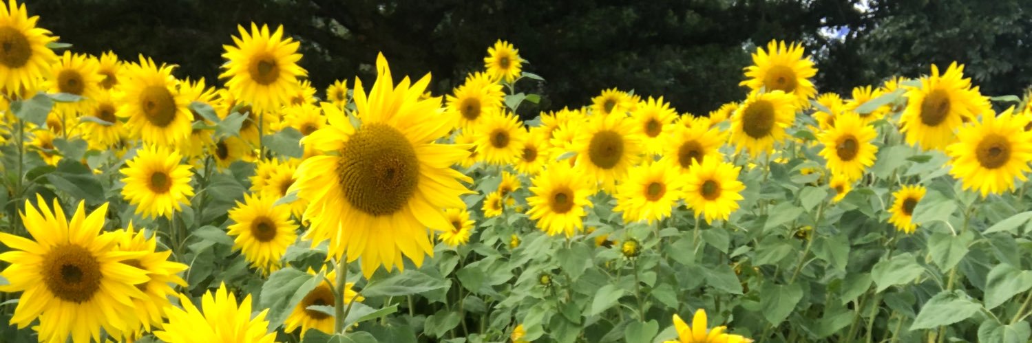 fiona22264's profile banner image