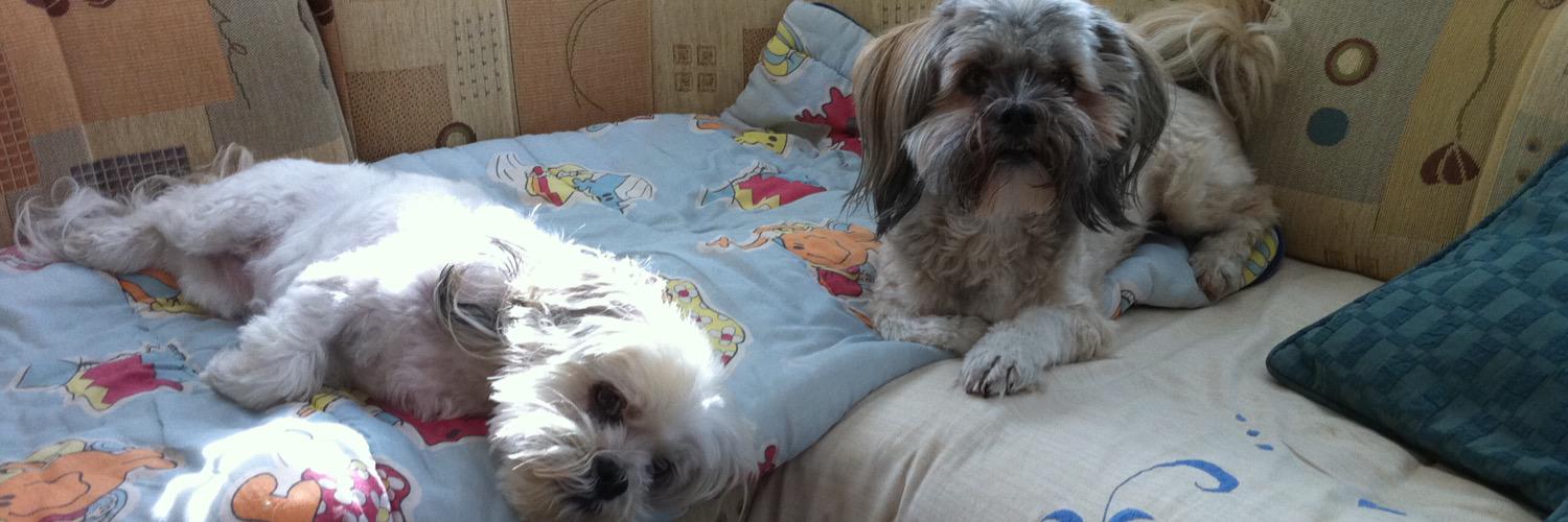 Jamie Phillips banner