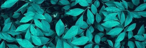 meegsfm's profile banner image