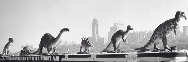 apeck_14 Profile Banner