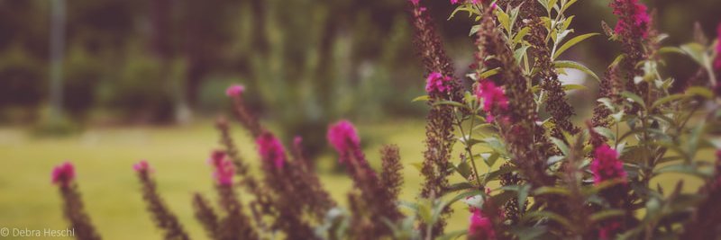 DHeschlPhoto's profile banner image