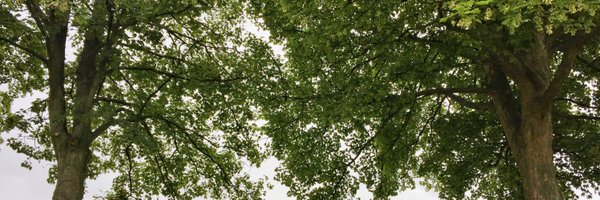 manavato Profile Banner