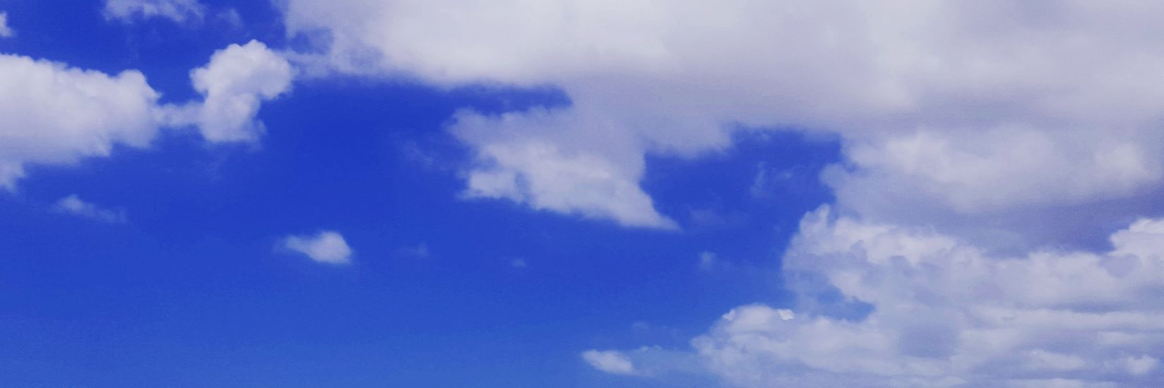 michelleathayde's profile banner image