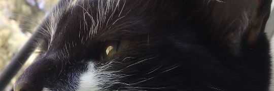 LastraVictoria's profile banner image