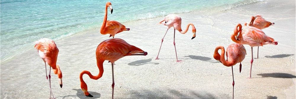 SandraEHS7's profile banner image