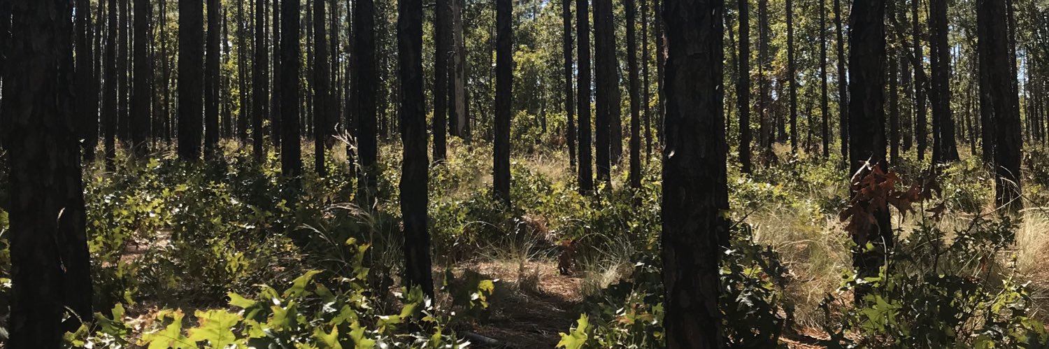 NJToft's profile banner image