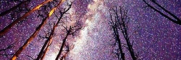 AshleySmith1641's profile banner image