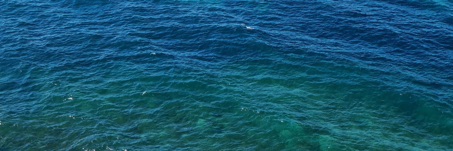 eurydiciaa's profile banner image