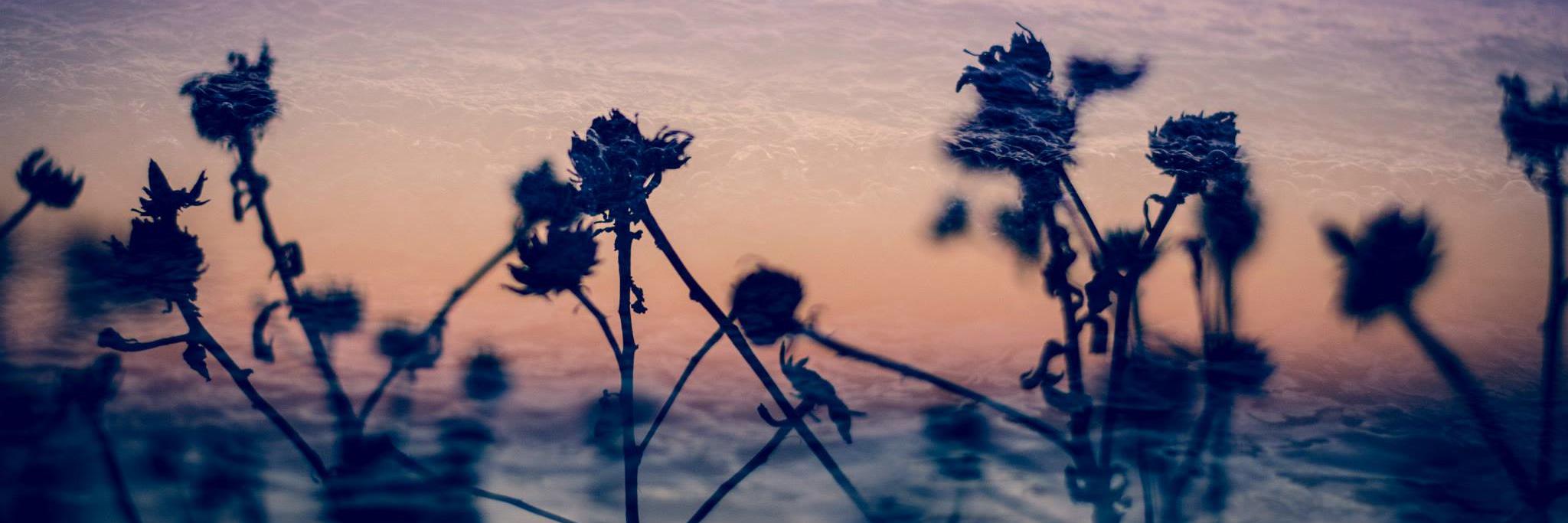 dlindenlaub's profile banner image