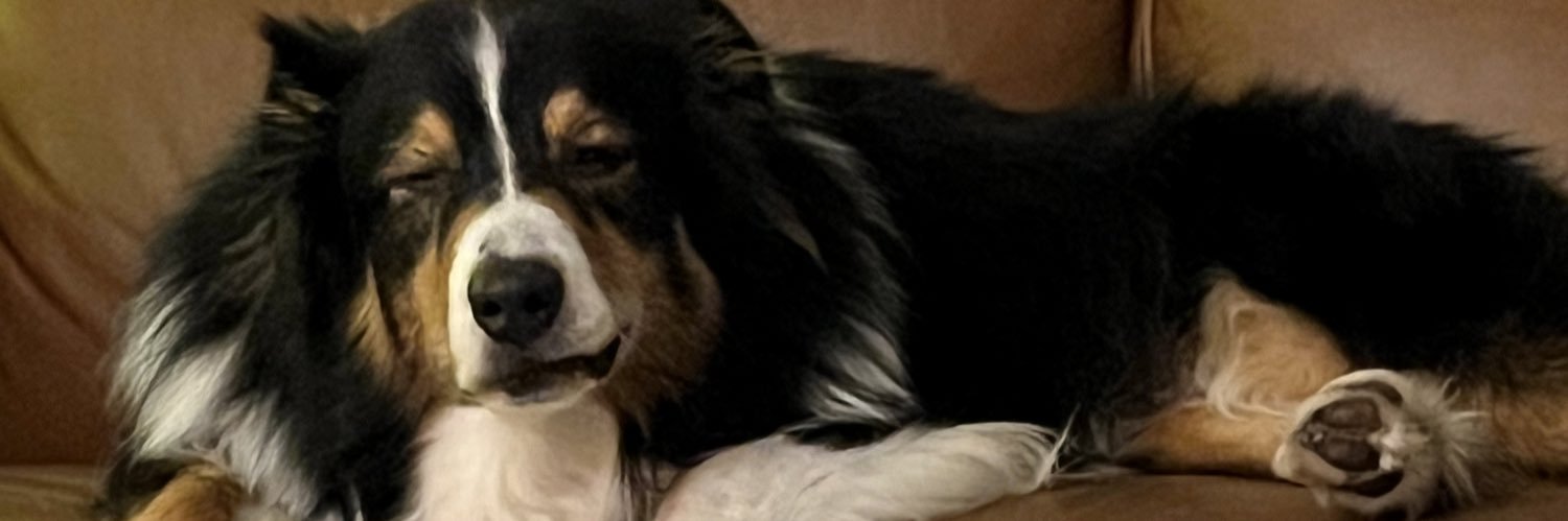 f banner